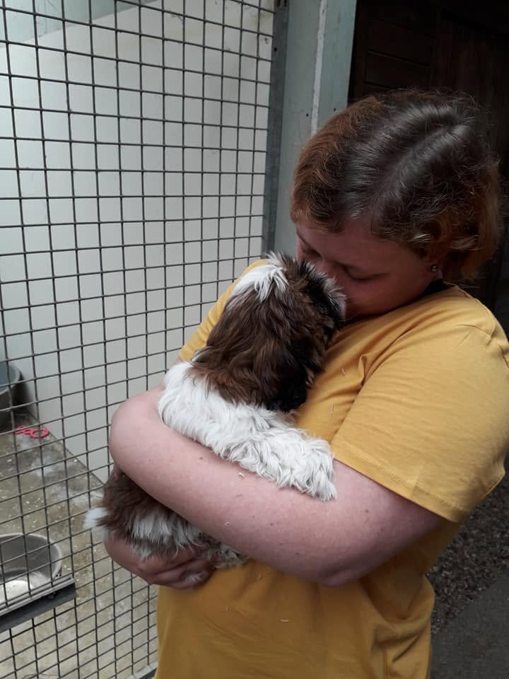 Préparation de l’arrivée d’un chien